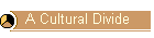 A Cultural Divide
