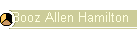 Booz Allen Hamilton