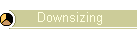 Downsizing
